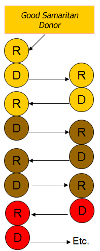 donor_chain_graphic
