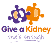kidney
