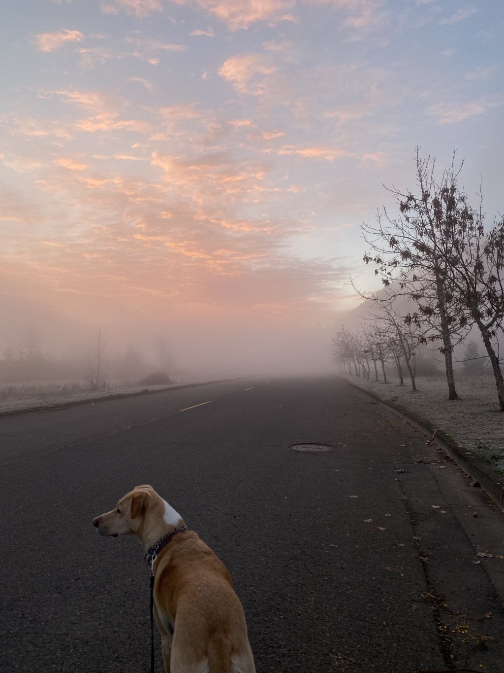 2025 Financial Goals